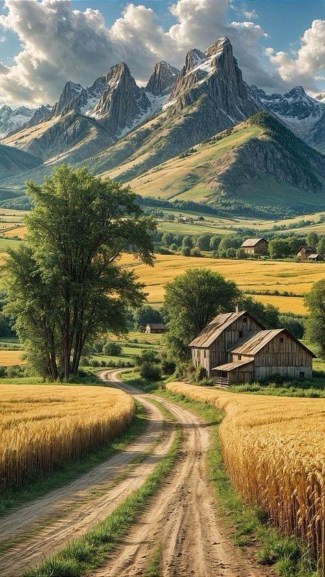 İlan Fotoğrafı