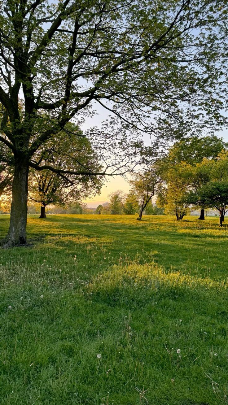 İlan Fotoğrafı