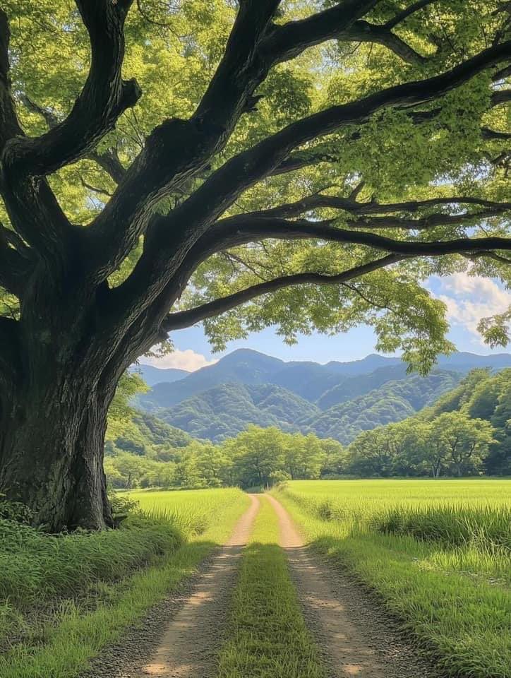 İlan Fotoğrafı